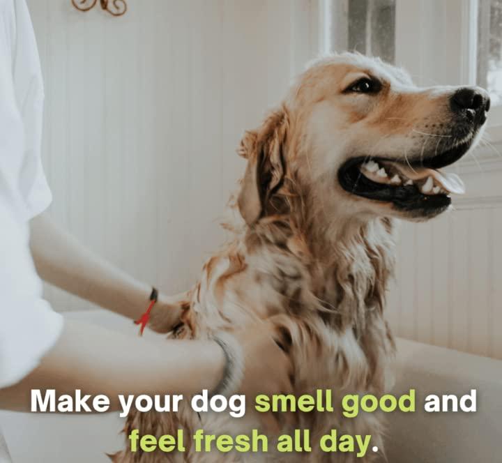 Anti-Itch Dog Shampoo|Ditch to Itch 300ml Pack of 2